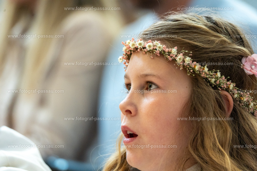 A7V02805 | Hier finden Sie die Online Foto-Galerie von fotograf-passau.com und marius-handrugan.de. Suchen Sie sich direkt Ihre Lieblingsbilder aus, ob als Ausdruck oder Download. - Realisiert mit Pictrs.com