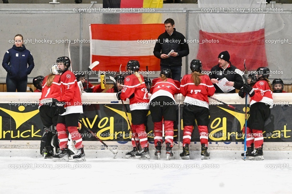 Z9B_3724 | hockey sports photos, Pressefotos, Sportfotos, hockey247, win 2day icehockeyleague, Handball Austria, Floorball Austria, ÖVV, Kärntner Eishockeyverband, KEHV, KFV, Kärntner Fussballverband, Österreichischer Volleyballverband, Alps Hockey League, ÖFB, 