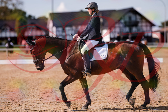 2026_10_03_Siefer-Hof_130212_Z81_55407681 | Professionelle Reitsport-, Turnier- und Eventfotografie von Robert Broda. Galerien mit ausgewählten und bearbeiteten Bildern direkt online ansehen und bestellen.