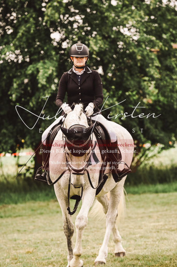 DSC_5194 | Pferde- und Turnierfotografie in Westsachsen. Pferdeportraits, Auftragszeichnungen und intuitive Kunst.