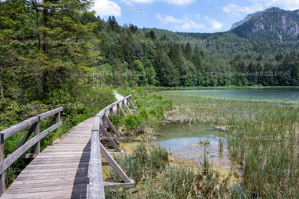 Frillensee | medienkrizzler - Realisiert mit Pictrs.com