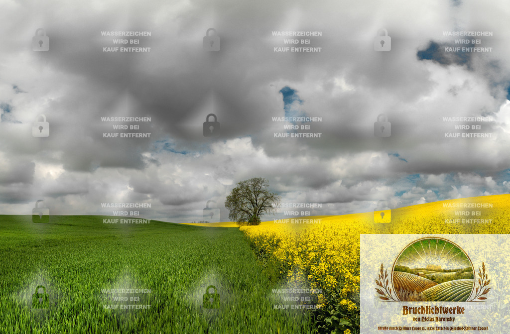 Frühsommerkontrast | Professioneller Fotograf mit 10 Jahren Erfahrung. Landschafts- und Hochzeitsfotografie im Oderbruch. Workshops und beeindruckende Bilder für besondere Momente.