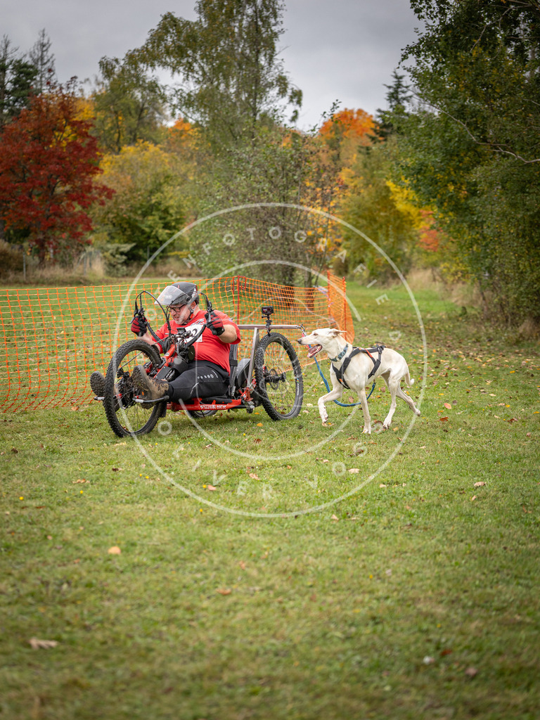 Pfotenfotografie_DV3A3510 | Hundefotografie, Tierfotograf, Pfotenfotografie, Fotoshooting Hund, Hunde Portrait, Hundesport, Hundeportraits, Heideshooting, Hunde, Sportfotograf, Hundefotograf, Turnierhundsport, THS,  - Realisiert mit Pictrs.com