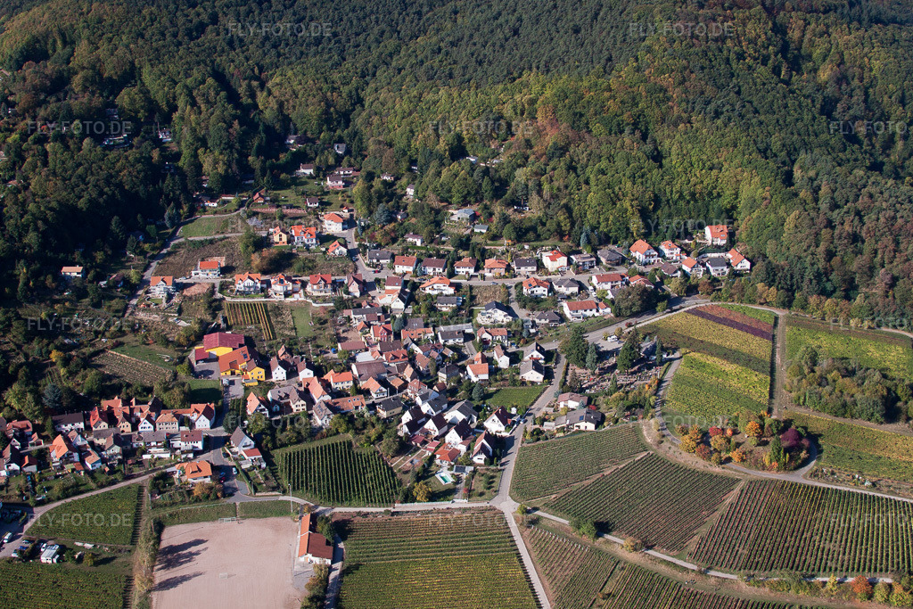 Luftbild: Waldstr in Burrweiler im Bundesland Rheinland-Pfalz in Deutschland. Foto: IMG_22234.jpg vom 15.10.2009 durch Werner Riehm/FLY-FOTO.de