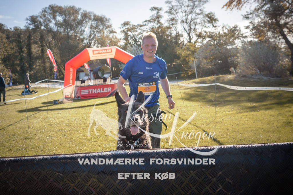 1059_ZZ91427 | kk-dogfotos