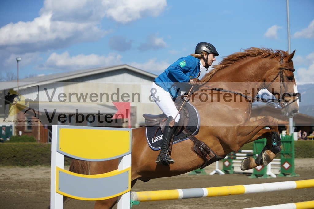 DSC03329 | equestrian-live-com