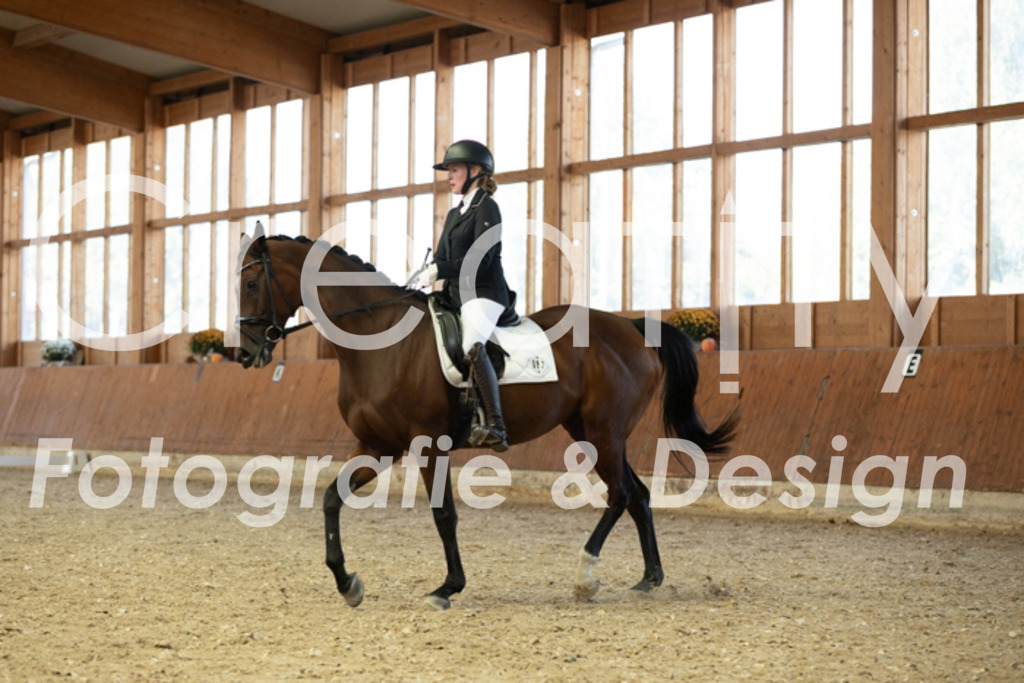 IMG_5013 | Creatify Fotografie