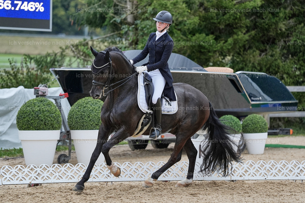 8_1-212-Klasse S_  -StoibPH-3940 | working equitationturnier fotograf videograf stoibphotography marixx film working equitation deutschland reitsport turnierfotografie eventfotografie equestrian events