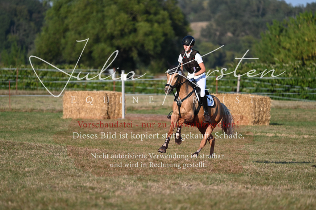 DSC_9247 | Pferde- und Turnierfotografie in Westsachsen. Pferdeportraits, Auftragszeichnungen und intuitive Kunst.