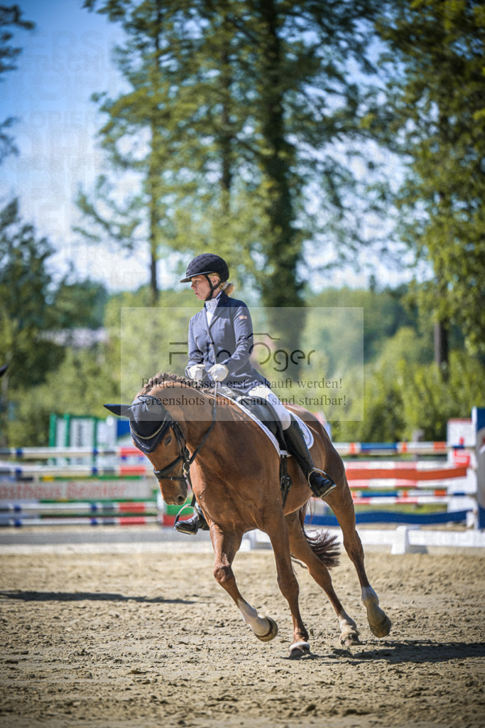 DOS_1454 | Entdecke hochwertige Reitturnierfotos von Foto Oger. Professionell, emotional und authentisch – jetzt Lieblingsmomente im Shop bestellen.Deutschlandweite Turnierfotografie. - Realisiert mit Pictrs.com
