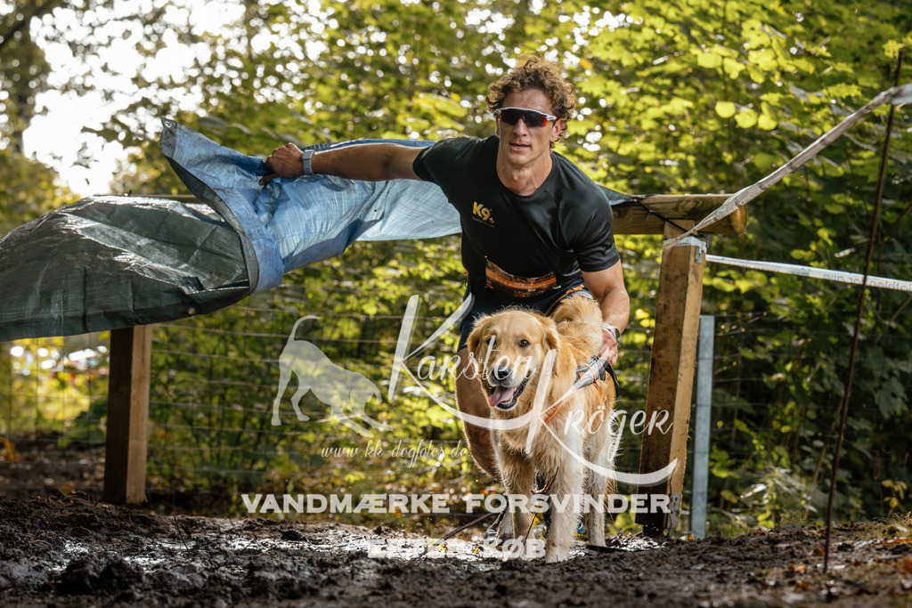 1445DZ6_3420Z6 | kk-dogfotos