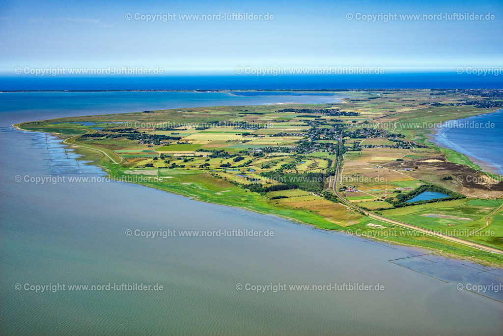 Sylt_Morsum_bis_Westküste_ELS_3852210625 | MORSUM 21.06.2025 Sylt- Insel Ortsansicht an der Meeres-Küste der Nordsee in Morsum im Bundesland Schleswig-Holstein. // Townscape on the seacoast of North Sea in Morsum in the state Schleswig-Holstein. Foto: Martin Elsen