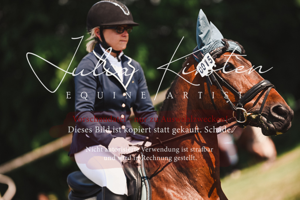 DSC_7314 | Pferde- und Turnierfotografie in Westsachsen. Pferdeportraits, Auftragszeichnungen und intuitive Kunst.