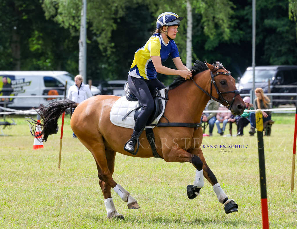 1B3A4559 | Reitsport Reiten