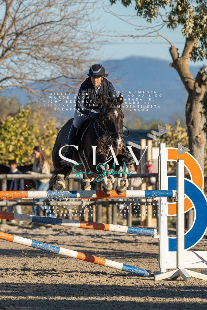 IMG_2346 | s-jay-photography - Realisiert mit Pictrs.com