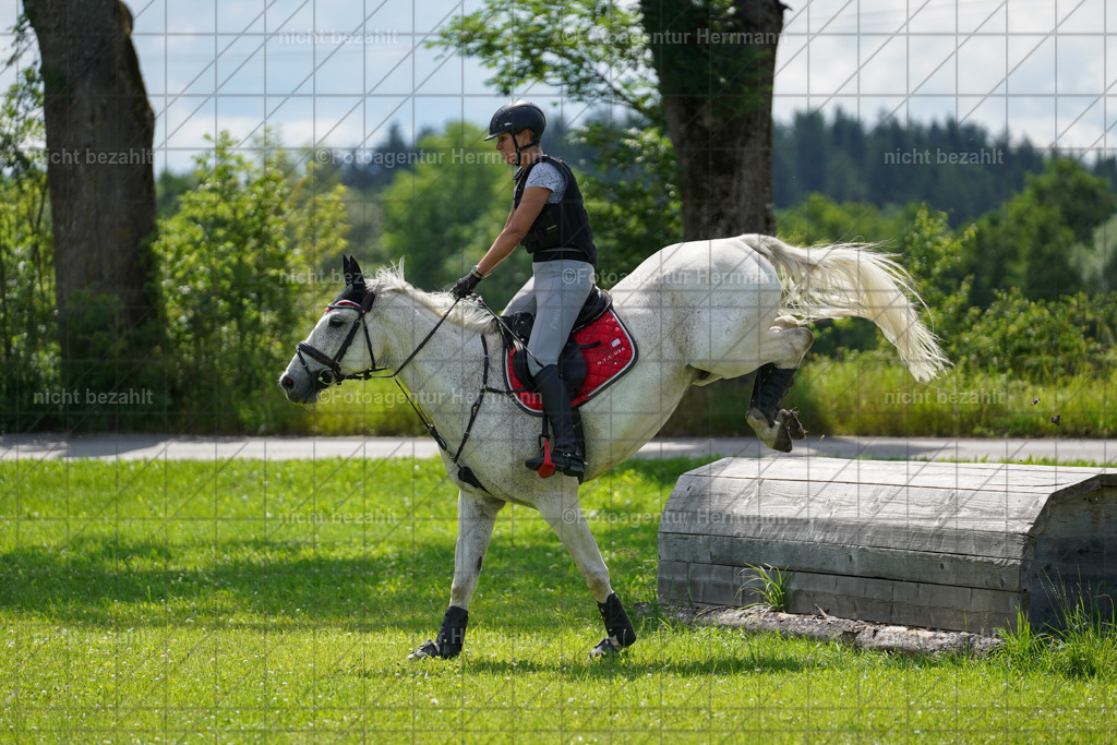 20240622-FAH07744 | Turnierfotografen Bayern, Reitsportbilder aus dem Geländekurs mit Felix Etzel auf dem Gut Waitzacker 2024