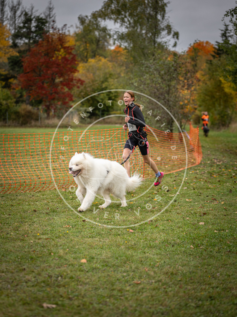 Pfotenfotografie_DV3A3422 | Hundefotografie, Tierfotograf, Pfotenfotografie, Fotoshooting Hund, Hunde Portrait, Hundesport, Hundeportraits, Heideshooting, Hunde, Sportfotograf, Hundefotograf, Turnierhundsport, THS,  - Realisiert mit Pictrs.com