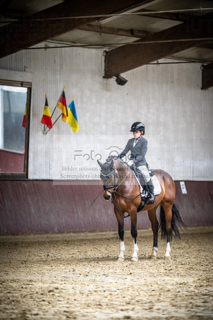 DOS_1215 | Reitturnier Lüdinghausen - Realisiert mit Pictrs.com