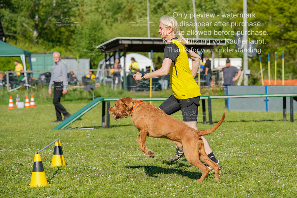 Sa_CSC-391 | stephaniefillaphotographie - Realisiert mit Pictrs.com