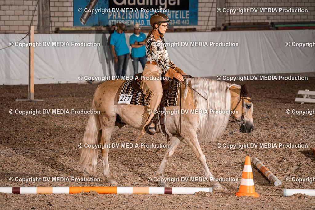 ZH200552 | dv-media-shop - Realisiert mit Pictrs.com