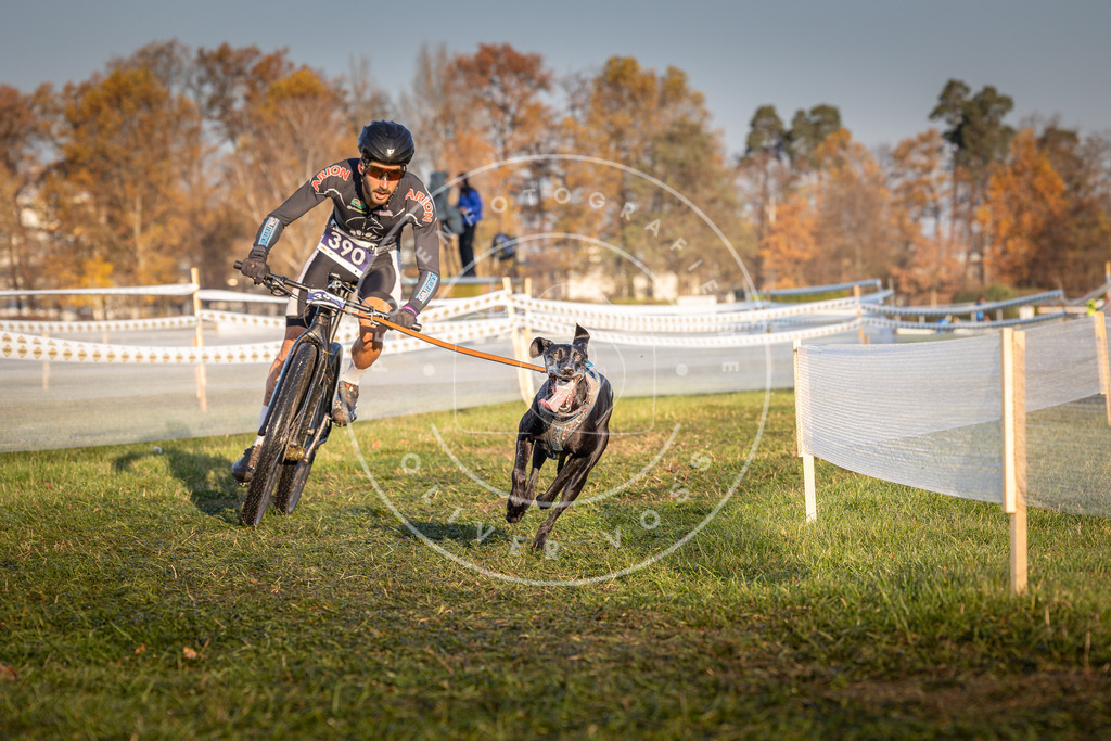 CaniXpix_0L8A3843 | Hundefotografie, Tierfotograf, Pfotenfotografie, Fotoshooting Hund, Hunde Portrait, Hundesport, Hundeportraits, Heideshooting, Hunde, Sportfotograf, Hundefotograf, Turnierhundsport, THS,  - Realisiert mit Pictrs.com
