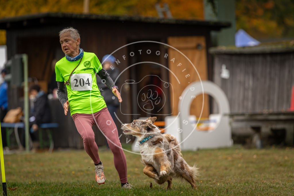 Pfotenfotografie_DV3A1697 | Hundefotografie, Tierfotograf, Pfotenfotografie, Fotoshooting Hund, Hunde Portrait, Hundesport, Hundeportraits, Heideshooting, Hunde, Sportfotograf, Hundefotograf, Turnierhundsport, THS,  - Realisiert mit Pictrs.com