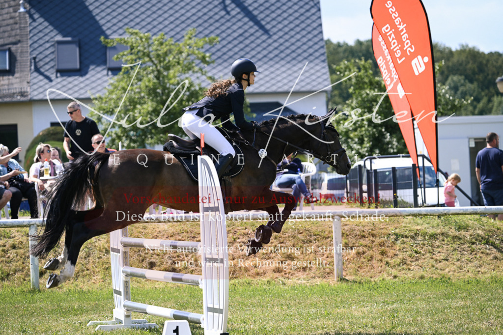 DSC_0444 | Pferde- und Turnierfotografie in Westsachsen. Pferdeportraits, Auftragszeichnungen und intuitive Kunst.
