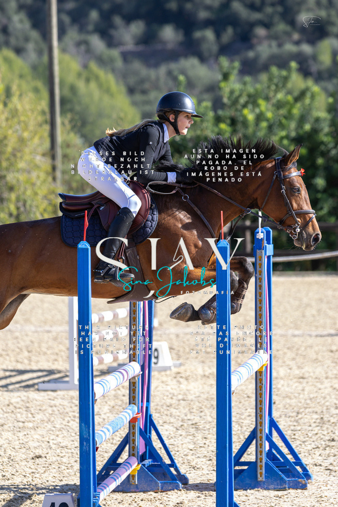 IMG_6439 | s-jay-photography - Realisiert mit Pictrs.com