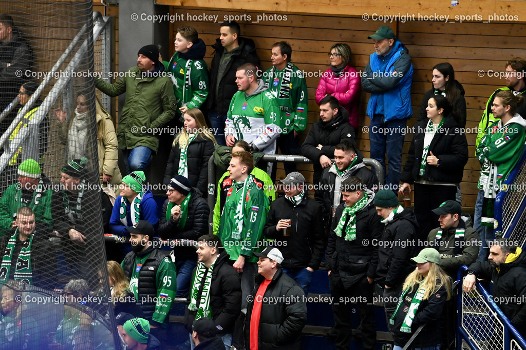 EC IDM WÄRMEPUMPEN VSV vs. Olimpija Ljubljana | Olimpija Ljubljana Fans, EC IDM WÄRMEPUMPEN VSV vs. Olimpija Ljubljana, EC IDM WÄRMEPUMPEN VSV vs. Olimpija Ljubljana am 01.02.2026 in Villach (Stadthalle Villach), Austria, (Photo by Bernd Stefan)