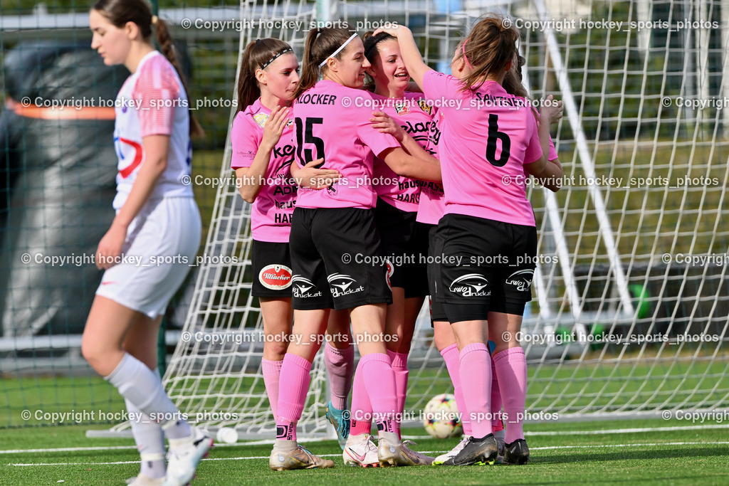 Carinthians LIWOdruck Hornets vs. Young Violets Austria Wien 17.3.2024 | Jubel Carinthians Hornets,#21 Julia Starchl Carinthians LIWOdruck Hornets, #15 Marie Sophie Klocker Carinthians LIWOdruck Hornets, #19 Jana Christina Lemberger Carinthians LIWOdruck Hornets, #6 Laura Elisabeth Santner Carinthians LIWOdruck Hornets, Carinthians LIWOdruck Hornets vs. Young Violets Austria Wien 17.3.2024, Carinthians LIWOdruck Hornets vs. Young Violets Austria Wien  am 17.03.2024 in Spittal an der Drau (Goldeck Stadion), Austria, (Photo by Bernd Stefan)