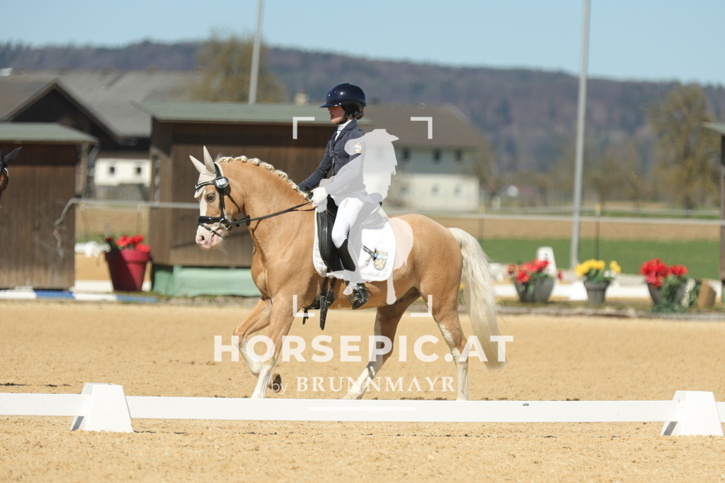 0P6A7547 | Willkommen bei Brunnmayr - Design & Fotografie – Ihrem Spezialisten für Reitturniere und Pferdeveranstaltungen in Oberösterreich, Salzburg und Bayern! Seit über 17 Jahren sind wir leidenschaftlich dabei.