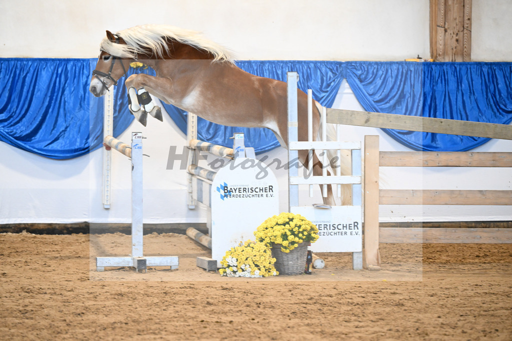 Kat-Nr. 33 Nokiano B v. Novastar_Bleicher_48250681 | hf-fotografie - Realisiert mit Pictrs.com