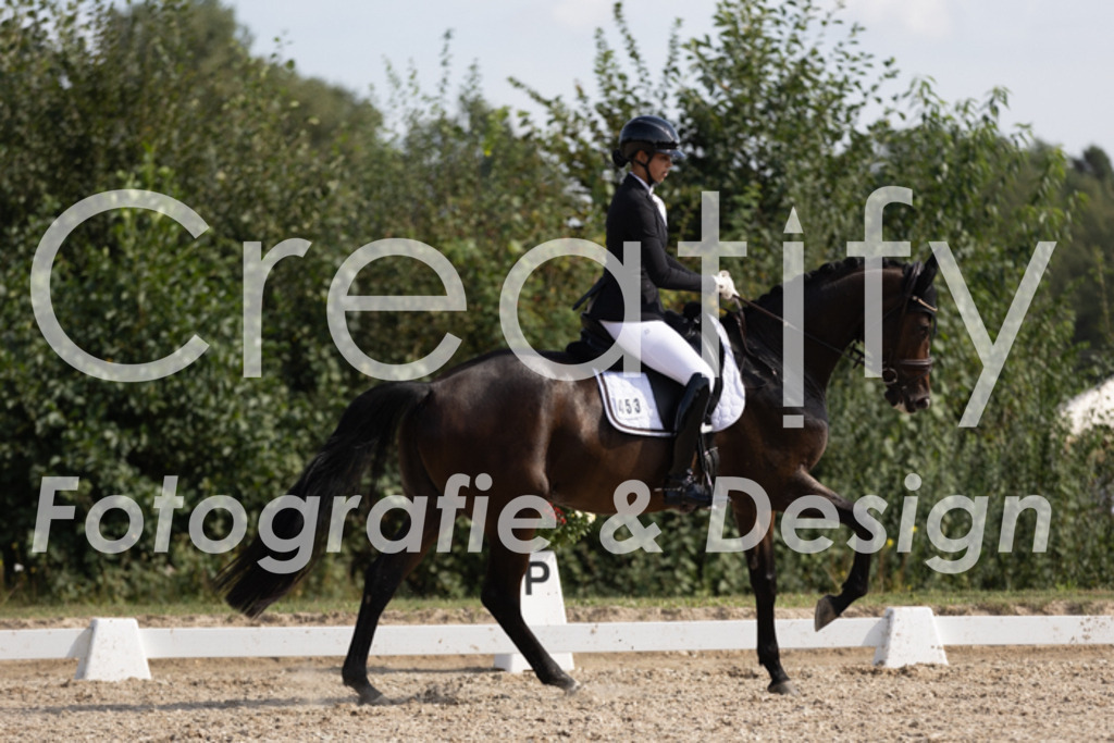 IMG_3802 | Creatify Fotografie