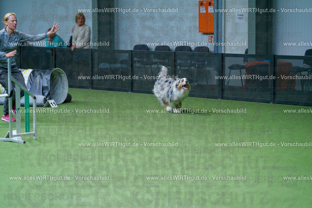 @allesWIRTHgut_Tierfotografie - www.allesWIRTHgut.de - 2604251047-7R500130 | Professionelle Tierfotografie in Mönchengladbach von Daniel Wirth (allesWIRTHgut). Liebevolle & natürliche Bilder von Hunden & Katzen für unvergessliche Erinnerungen.