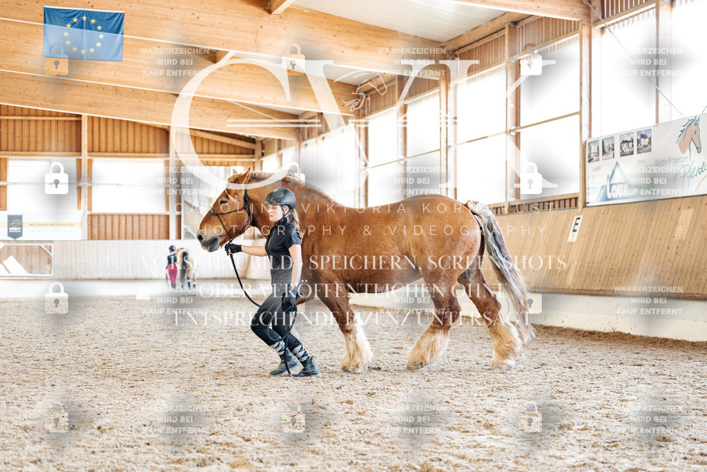 CK907266 | Turnierfotografie Pferdefotografie Trier Rheinland-Pfalz Pferdesport Reitsport Tierfotografie Sportfotografie Pferdevideo Pferdevideografie Equestrianvideography equestrianphotography  - Realisiert mit Pictrs.com
