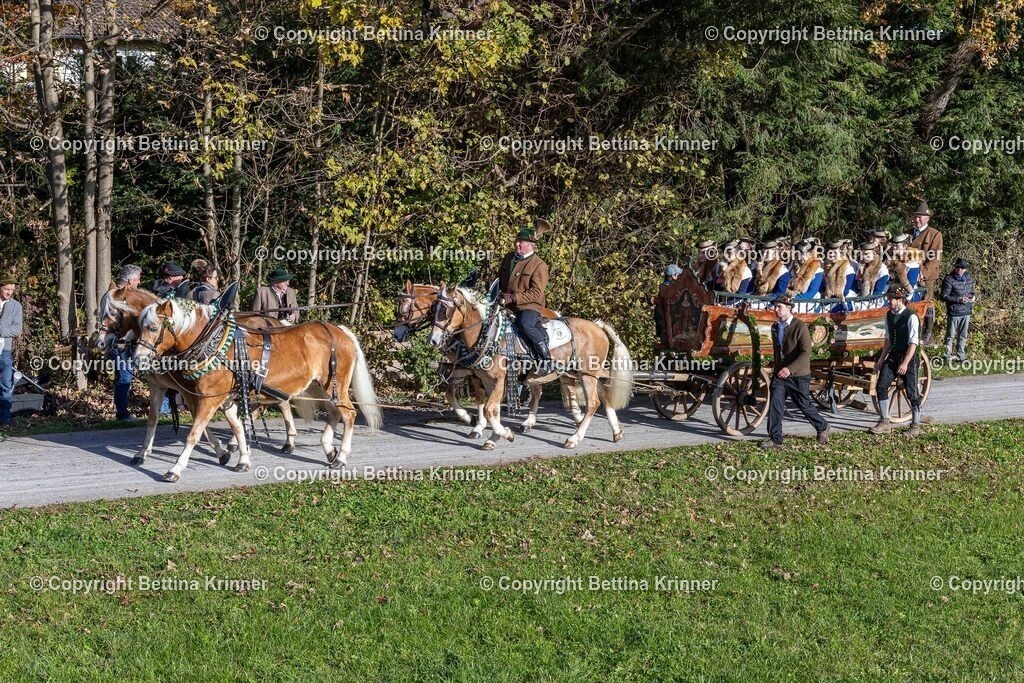 LBT24-642 | foto-bettina-krinner - Realisiert mit Pictrs.com