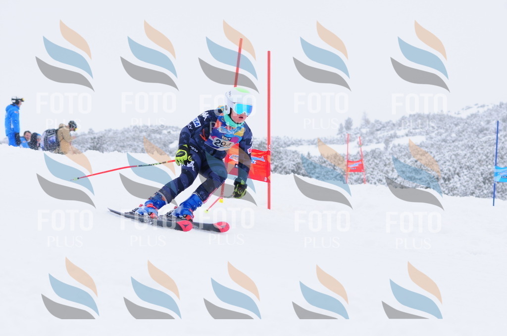 C3096 | holidayphoto