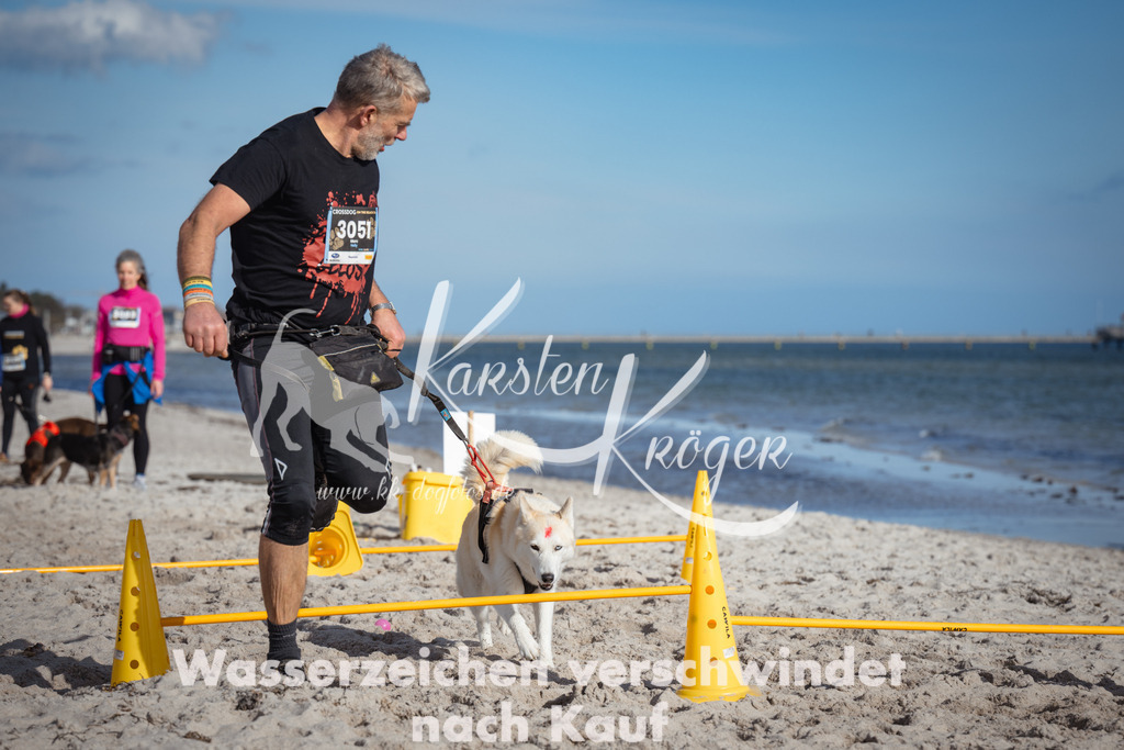 1345_ZZ93197 | kk-dogfotos