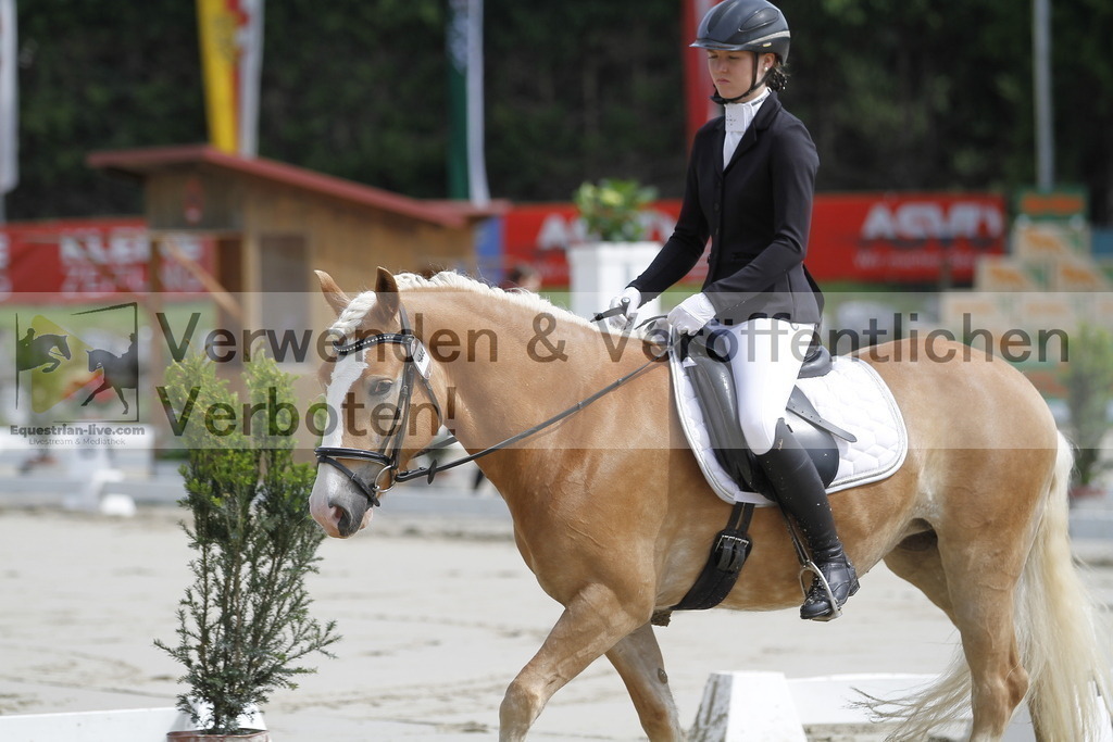 _MG_1277 | equestrian-live-com