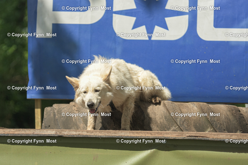 DSC_0057 | Hallo und herzlich Willkommen auf meiner Shop-Seite Fynn Most.

Ich wünsche Dir viel Spaß beim stöbern durch die Bilder, wenn Du Fragen hast oder Bilder vermisst, kannst du mir gerne eine Nachricht schreiben. - Realisiert mit Pictrs.com