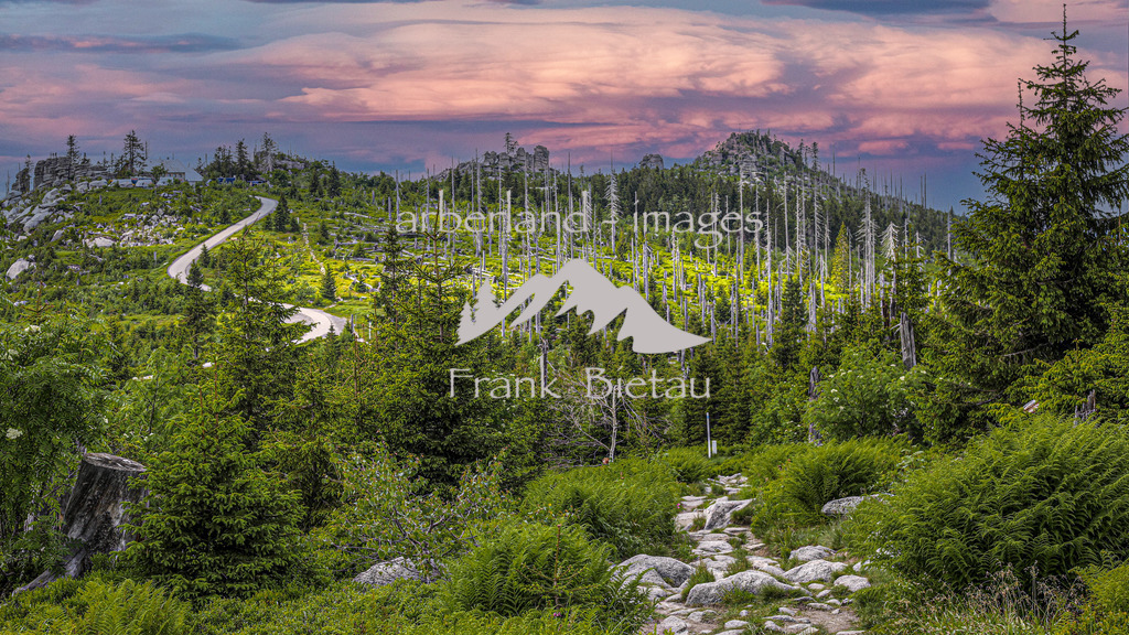 OE7A4003aa | vom Grenzkamm geht der Blick zum Dreisesselberg, Panorama, Format 16:9
