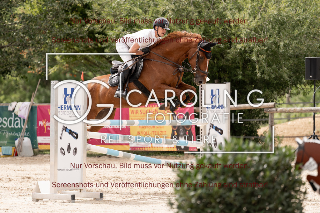 DSC06667 | Springturnier_Teamchallege_Talheim_2026, Manuel_Wilks, Renkum_Baladine