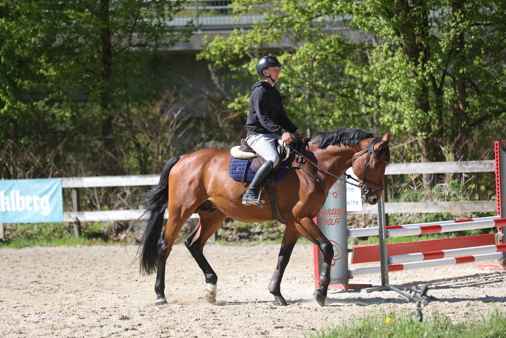 0P6A8103 | Willkommen bei Brunnmayr - Design & Fotografie – Ihrem Spezialisten für Reitturniere und Pferdeveranstaltungen in Oberösterreich, Salzburg und Bayern! Seit über 17 Jahren sind wir leidenschaftlich dabei.