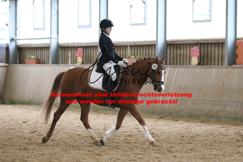 IMG_6935 | lmwpictures - Realisiert mit Pictrs.com