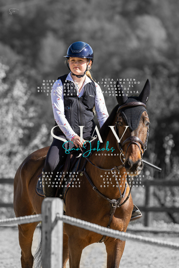 IMG_6274 | s-jay-photography - Realisiert mit Pictrs.com