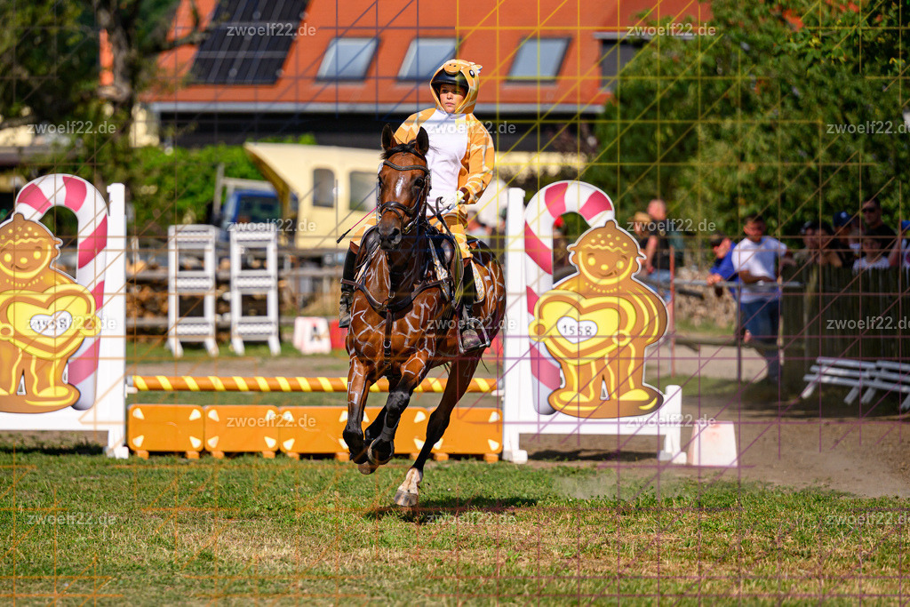 30 Jahre RFV Pulsnitz e.V., Pulsnitz am 09.08.2026 | Zur 28. breitensportlichen Veranstaltung des RFV Pulsnitz e.V. fanden verschiedene Wettbewerbe in nahezu allen Disziplinen des Pferdesport statt. - 05 Kostüm-Stilspring-Wettbewerb - Realisiert mit Pictrs.com