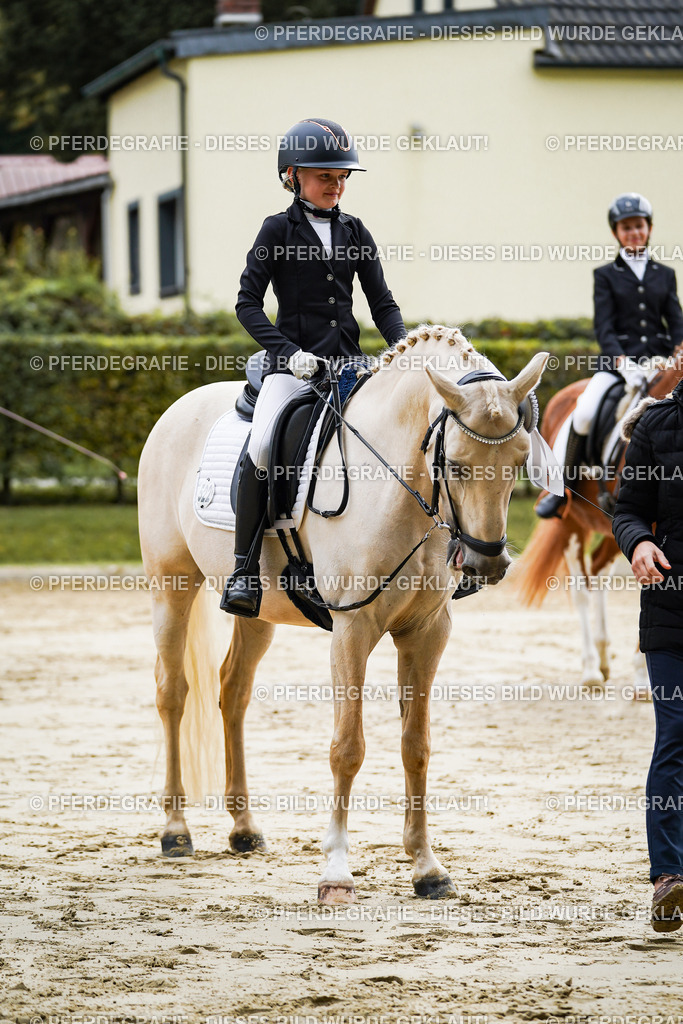 DSC05732 | Pferdegrafie