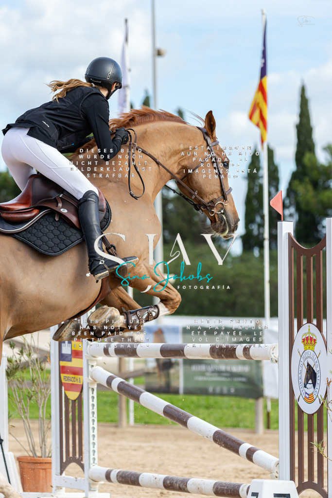 IMG_2936 | s-jay-photography - Realisiert mit Pictrs.com