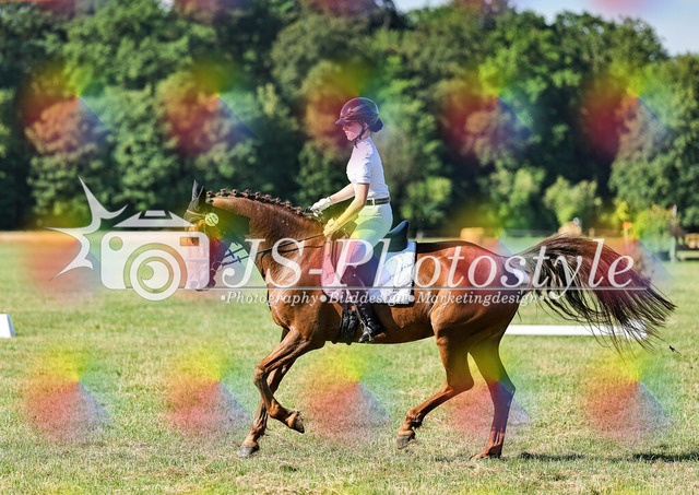 20260628_14a_VA_Dressur-72 | JS-Photostyle - Sport-/Portrait- & Eventfotografie