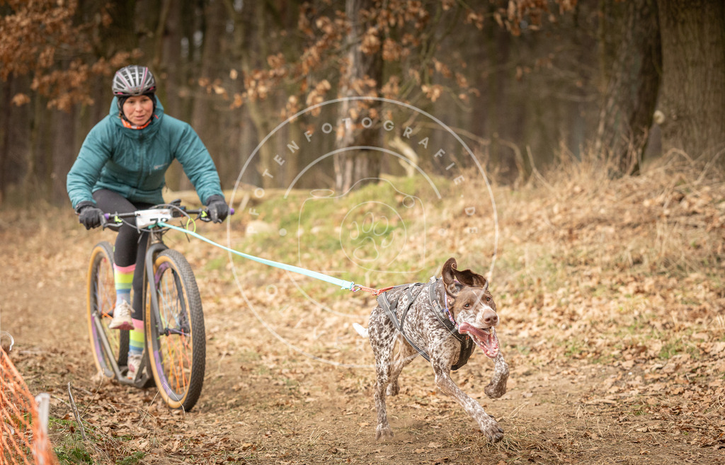Pfotenfotografie_DV3A3944 | Hundefotografie, Tierfotograf, Pfotenfotografie, Fotoshooting Hund, Hunde Portrait, Hundesport, Hundeportraits, Heideshooting, Hunde, Sportfotograf, Hundefotograf, Turnierhundsport, THS,  - Realisiert mit Pictrs.com